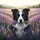 Border Collie Lavender Field Flowers - Dog Lover Home Decor Gift Spare Tire Cover - 6