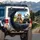 Confident Tiger Panda Highway Drive Scene - Road Trip Gift for Animal Lovers Spare Tire Cover - 3