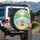 Golden Retriever Swimming Pool Beach Balls - Dog Lover Travel Essentials Gift Spare Tire Cover - 3