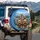 Five Happy Yorkshire Terriers Mountain Scene - Dog Lover Vehicle Accessory Gift Spare Tire Cover - 3