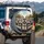 Cheerful Schnauzers Scenic Drive - Dog Lover Adventure Travel Gift Spare Tire Cover - 3