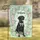 Welcome Black Labrador Dog Garden Flowers - Home Decor Gift for Dog Lover Garden Flag - 1