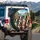 Happy Border Collies Australian Shepherd Tropical Village - Road Trip Dog Lover Gift Spare Tire Cover - 3