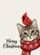 Tabby Cat Cardinal Merry Christmas Snowflake - Christmas Holiday Gift Cat Lover Garden Flag - 6