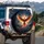 Fiery Orange Red Phoenix Ascending Cosmic Stars - Fantasy Decor Mythic Creature Lover Gift Spare Tire Cover - 3