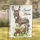 Baby Donkey Sweet Home Wheelbarrow Daisies - Farmhouse Home Decor Gift Garden Flag - 1