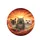 Startled Siamese Tabby Persian Cats Fiery Sunset - Cat Lover Travel Spare Tire Cover - 4