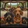 Diverse Dachshund Dog Pack Natural Landscape - Dog Lover Gift Spare Tire Cover - 6