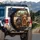 Diverse Dachshund Dog Pack Natural Landscape - Dog Lover Gift Spare Tire Cover - 3