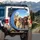 Diverse Dogs Labradors Rottweiler Clear Sky Wispy Clouds Foliage - Pet Lover Gift Spare Tire Cover - 3
