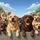 Diverse Dogs Labradors Rottweiler Clear Sky Wispy Clouds Foliage - Pet Lover Gift Spare Tire Cover - 6