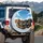 Dachshunds Group Portrait Fluffy White Clouds Blue Sky - Dog Lover Gift for Owners Spare Tire Cover - 3