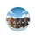 Dachshunds Group Portrait Fluffy White Clouds Blue Sky - Dog Lover Gift for Owners Spare Tire Cover - 4