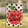 Red Apple Pink Polka Dot BACK TO school - Back To School Welcome Gift for Kids Garden Flag - 1