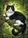 Lush Green Foliage Tuxedo Cat Emerald Eyes Tree Branch - Wildlife Lover Home Decor Gift Garden Flag - 6