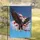 Bald Eagle American Flag Soaring - Independence Day Patriotic Home Decor Gift Garden Flag - 5