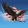 Bald Eagle American Flag Soaring - Independence Day Patriotic Home Decor Gift Garden Flag - 6