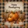 Pumpkin Leopard Print Autumn Leaves - Happy Thanksgiving Home Decor Gift Garden Flag - 6
