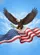 Bald Eagle American Flag Olive Branch Independence Day Gift for Veterans Garden Flag - 6