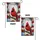 Northern Cardinal Welcome American Flag Home Decor Gift Garden Flag - 4