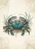 Blue Crab Seaweed Rustic Wood Grain Coastal Home Decor Gift Garden Flag - 6