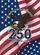 Bald Eagle American Flag 1776-2026 - 250th Anniversary Independence Day Garden Flag - 6