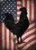 Black Rooster Distressed American Flag - Independence Day Gift for Veterans Garden Flag - 6