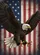 Bald Eagle Weathered Wood Grain American Flag Independence Day Gift for Veterans Garden Flag - 6