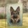 Focused Majestic German Shepherd Dog Portrait - Home Decor Gift for Dog Owners Garden Flag - 1