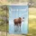 I May Be Stupid Statement Brown And White Cow In Water Farmhouse Decor Gift Garden Flag - 5