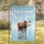 I May Be Stupid Statement Brown And White Cow In Water Farmhouse Decor Gift Garden Flag - 1