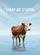 I May Be Stupid Statement Brown And White Cow In Water Farmhouse Decor Gift Garden Flag - 6