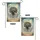Enduring Plant Seasonal Weather - Weather Resilience Home Decor Gift Garden Flag - 4