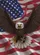 Bald Eagle American Flag Independence Day - Patriotic Home Decor Gift Garden Flag - 6