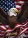 Bald Eagle American Flag - Independence Day Home Decor Gift for Veterans Garden Flag - 6