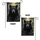 Majestic Black Bear Portrait Sun-Dappled Forest - Wildlife Lover Home Decor Gift Garden Flag - 4