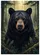 Majestic Black Bear Portrait Sun-Dappled Forest - Wildlife Lover Home Decor Gift Garden Flag - 6