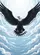Black Eagle White Collar Soaring Clouds - Wildlife Lover Home Decor Gift Garden Flag - 6
