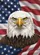 Bald Eagle Star Spangled American Flag Patriotic Wildlife Lover Home Decor Gift Garden Flag - 6