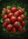 Vibrant Dew Drop Strawberry Cluster Foliage - Home Decor Gift for Fruit Gardeners Garden Flag - 6