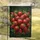 Vibrant Dew Drop Strawberry Cluster Foliage - Home Decor Gift for Fruit Gardeners Garden Flag - 5