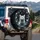 Ethereal Cat Butterflies Dragonflies Bioluminescent Night Sky - Cat Lover Gift Spare Tire Cover - 3