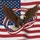 Bald Eagle American Flag - Independence Day Gift for Veterans Spare Tire Cover - 6