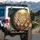 Diverse Fur Long-Haired Maine Coon Cats Foliage Sunlight - Cat Lover Home Decor Gift Spare Tire Cover - 3