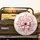 Satin Ribbon Bow Rococo Filigree Damask Patterns Home Decor Gift Spare Tire Cover - 2