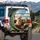 Golden Retriever Dog Tabby Cat Steering Wheel Beach - Vehicle Travel Essentials Spare Tire Cover - 3