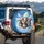 Five Happy Bully Breed Dogs Blue Sky Clouds - Dog Lover Gift for Pet Owners Spare Tire Cover - 3