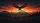 Bald Eagle 250 Years Still Wild Still Loud - 250th Anniversary Car Interior Upgrade Car Sunshade - 7