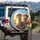 Fluffy Sheep Sunglasses Wildflower Meadow - Farmhouse Decor Gift for Sheep Lover Spare Tire Cover - 3