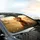 Highland Calf Butterfly Golden Landscape - Car Interior Upgrade Cow Lover Gift Car Sunshade - 6